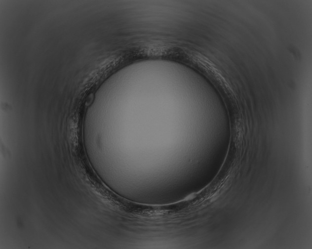 X0000090490497200708031149