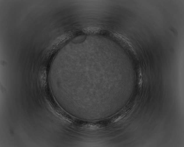 X0000090490498200708031149