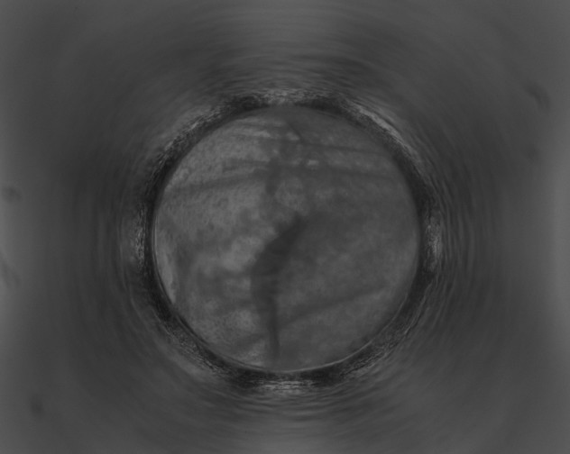 X0000090490499200708031149