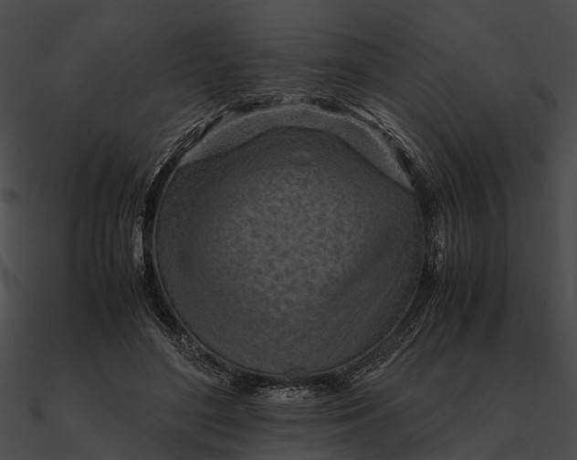 X0000090490500200708031149