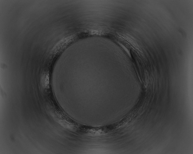 X0000090490502200708031149