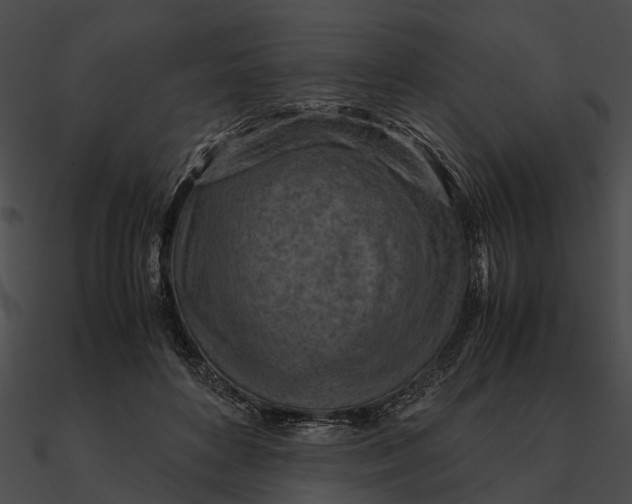 X0000090490504200708031149