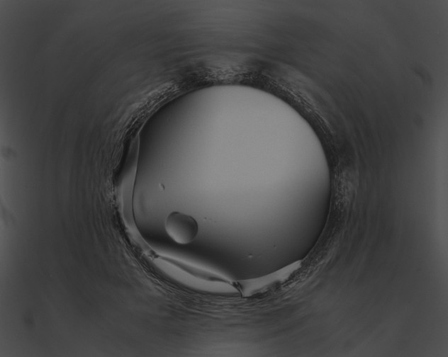 X0000090490505200708031149