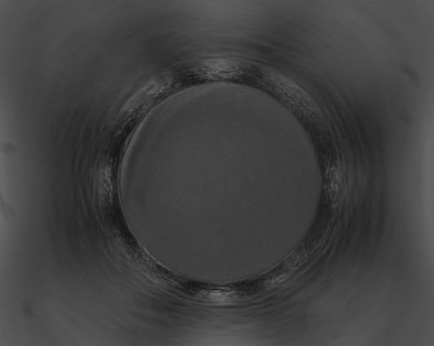 X0000090490506200708031149