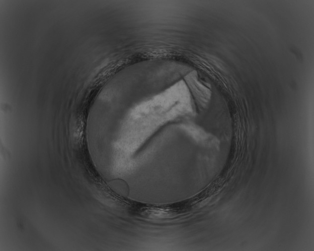 X0000090490507200708031149