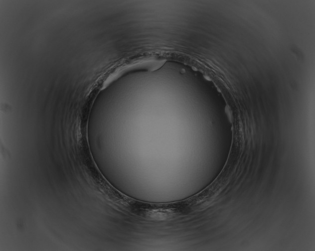 X0000090490508200708031149