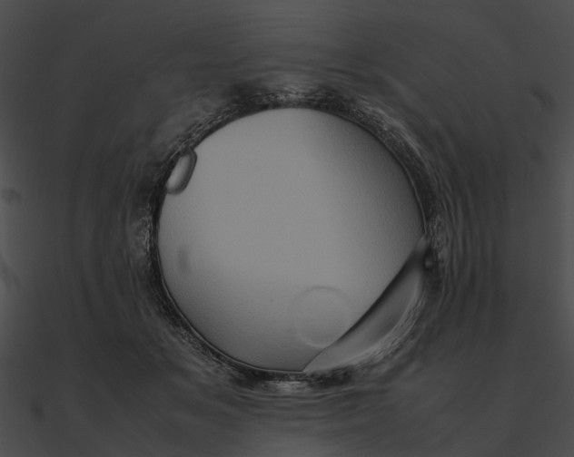 X0000090490509200708031149