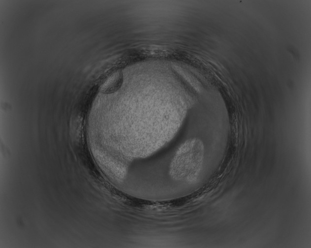 X0000090490511200708031149