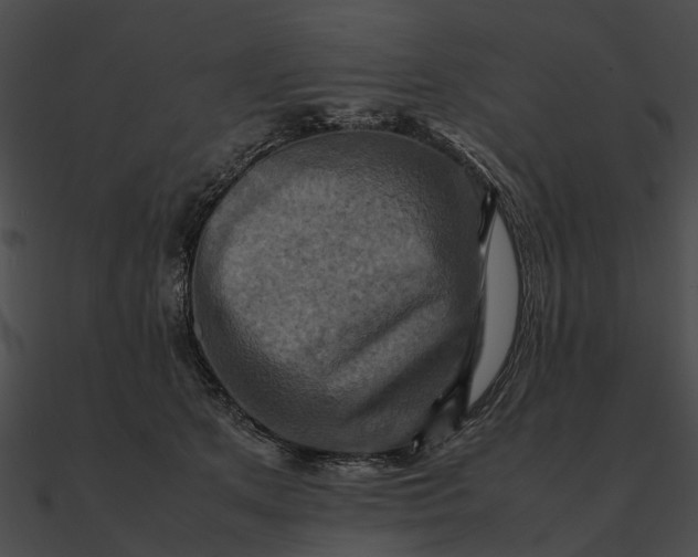 X0000090490513200708031149