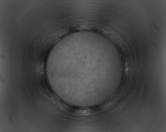 X0000090490514200708031149