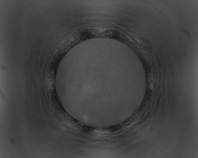 X0000090490515200708031149