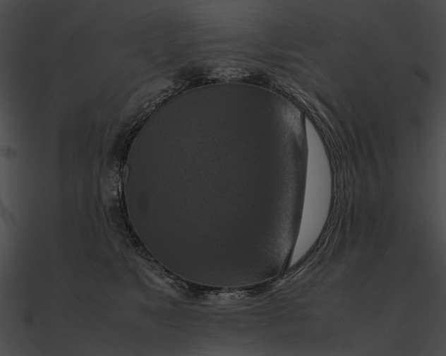 X0000090490517200708031149