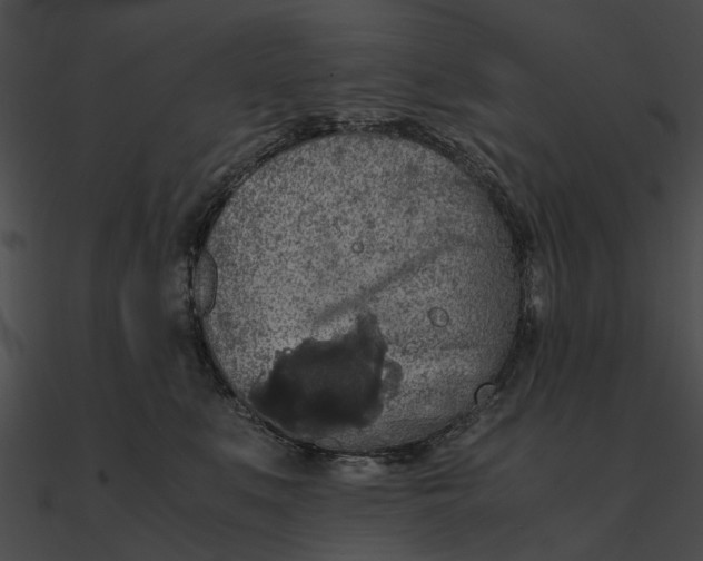 X0000090490519200708031149