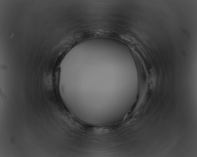 X0000090490520200708031149