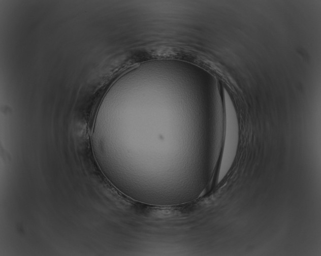 X0000090490521200708031149