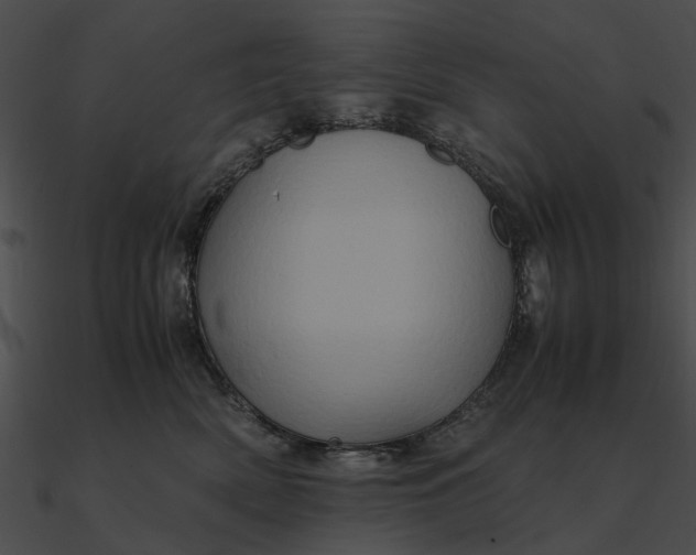 X0000090490522200708031149