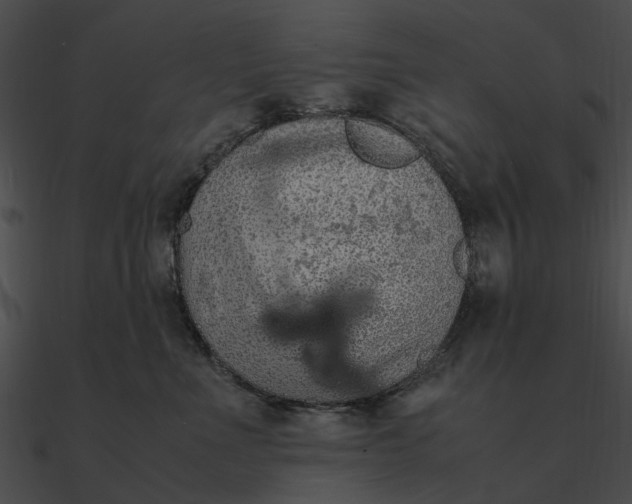 X0000090490523200708031149