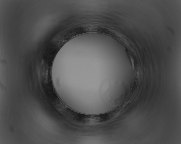 X0000090490525200708031149