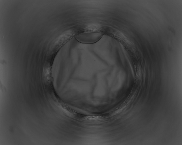 X0000090490526200708031149