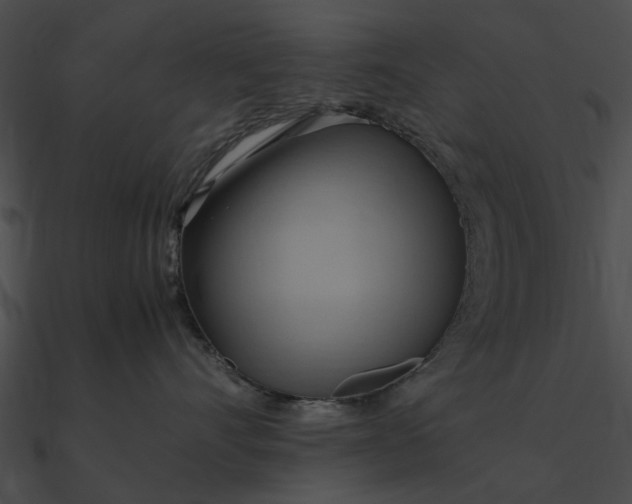 X0000090490528200708031149