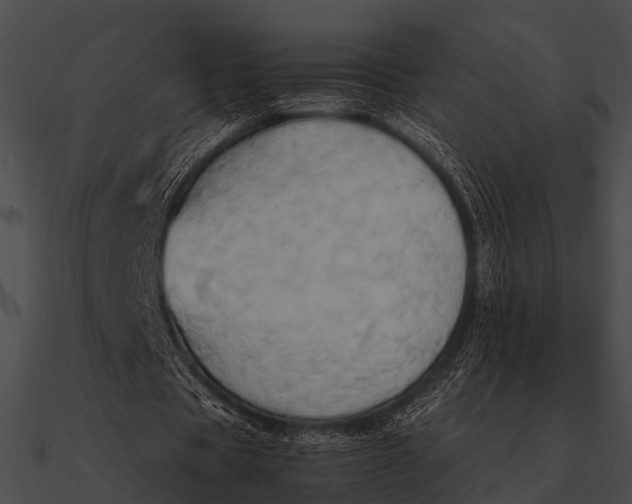 X0000090490529200708031148