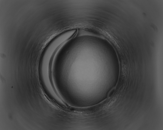 X0000090490530200708031148