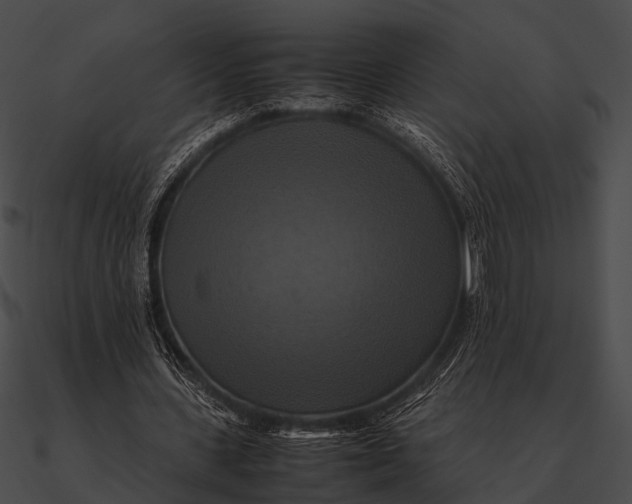 X0000090490531200708031148