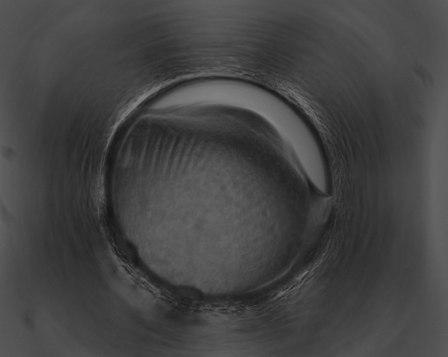 X0000090490532200708031148