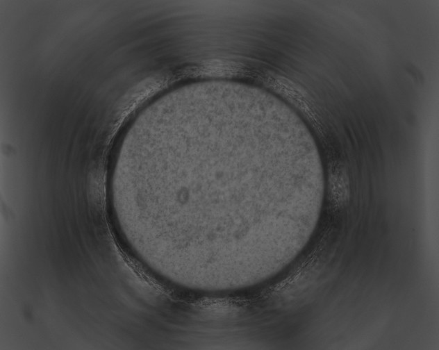 X0000090490534200708031149