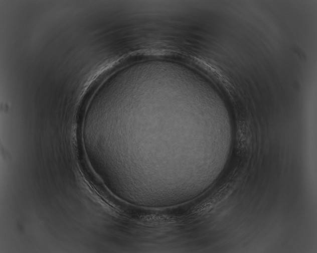 X0000090490535200708031149