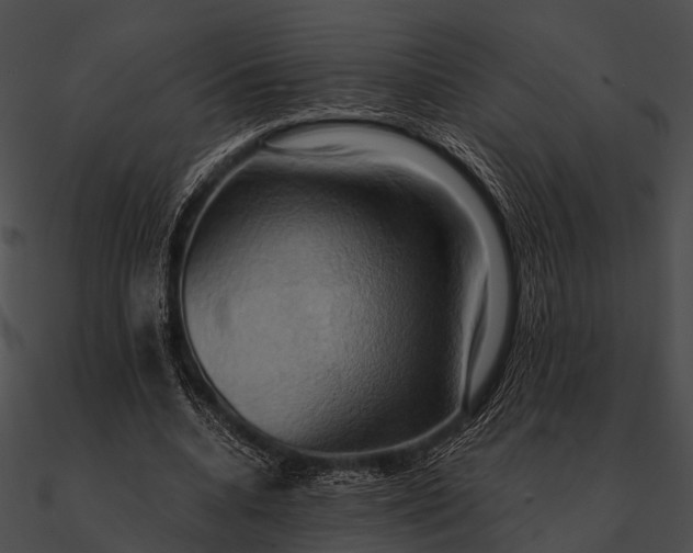 X0000090490536200708031149