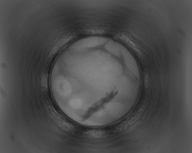 X0000090490537200708031149