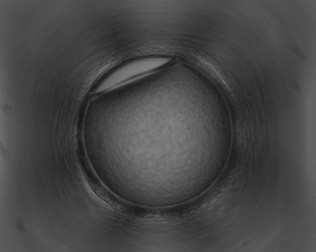 X0000090490538200708031149