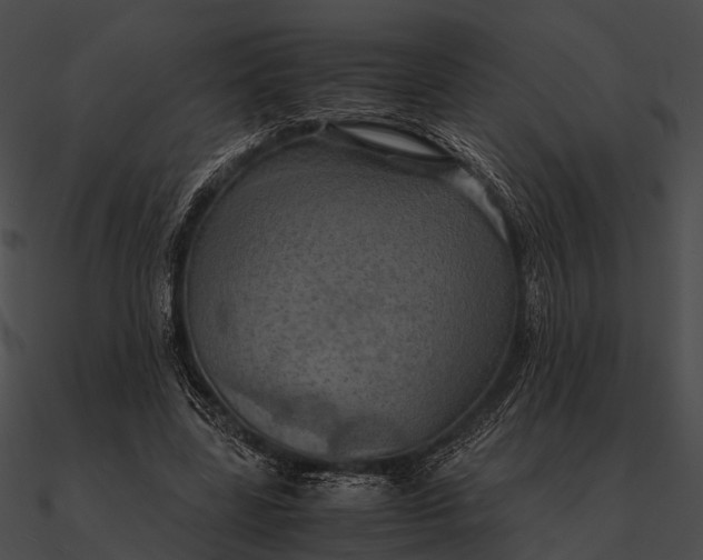 X0000090490539200708031149