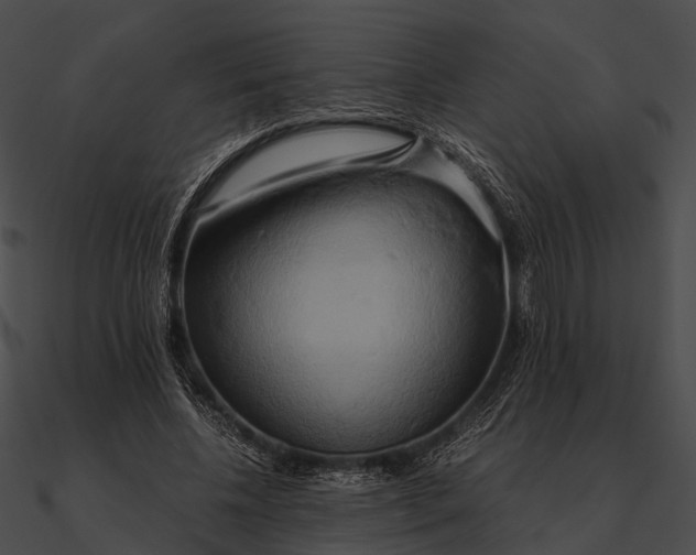 X0000090490540200708031149