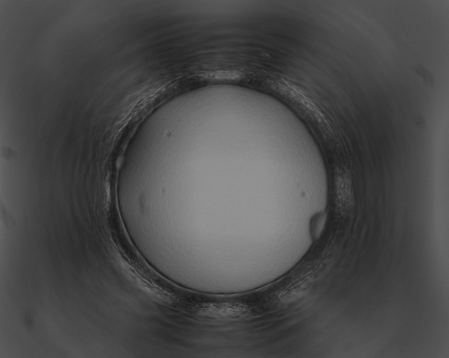 X0000090490541200708031149