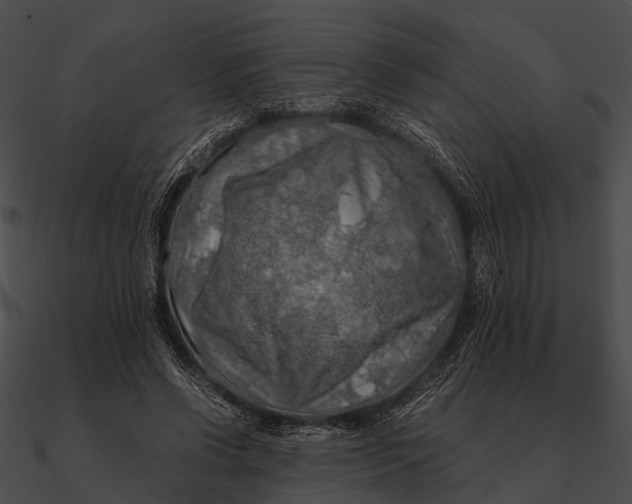 X0000090490542200708031149