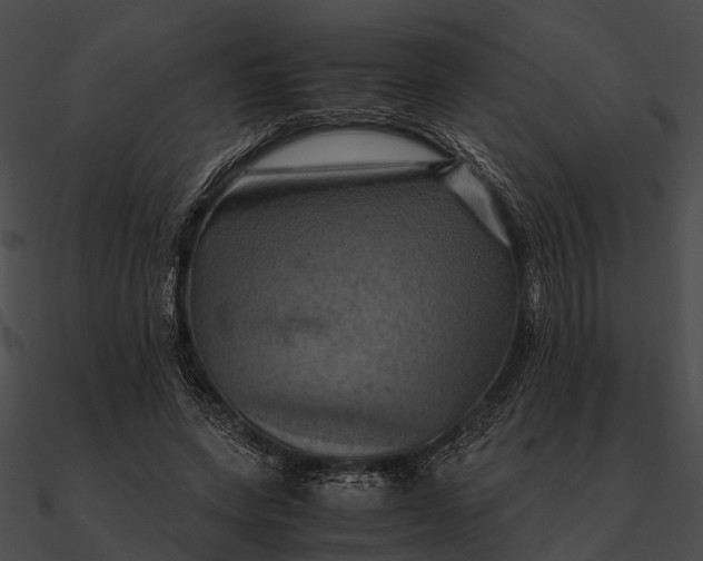 X0000090490543200708031149