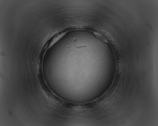 X0000090490544200708031149