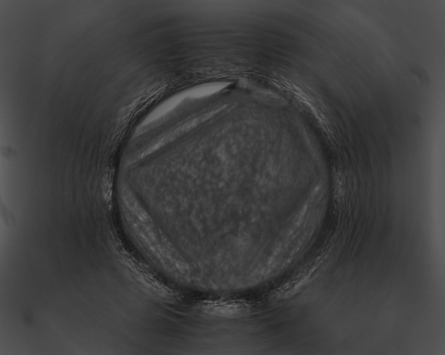 X0000090490545200708031149