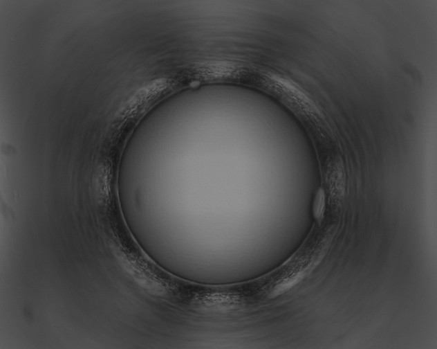 X0000090490546200708031149