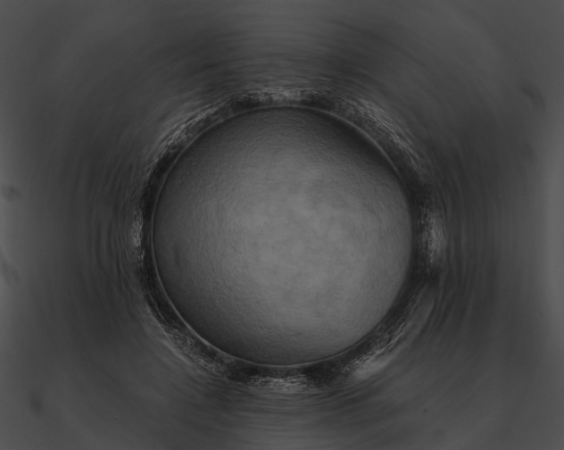 X0000090490548200708031149