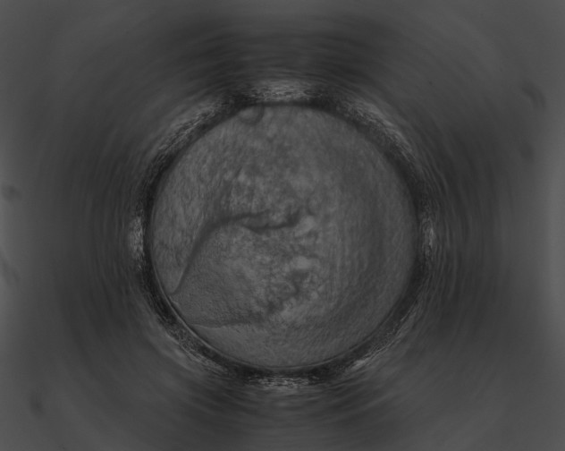 X0000090490549200708031149