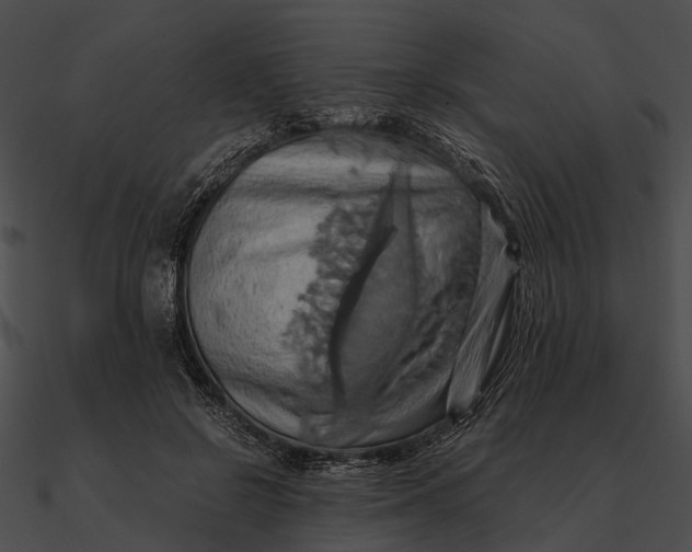 X0000090490550200708031149