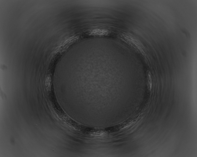 X0000090490551200708031149