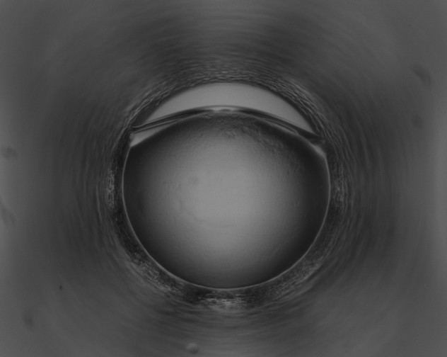 X0000090490552200708031149