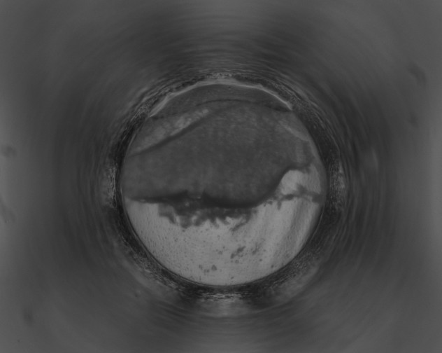 X0000090490554200708031149