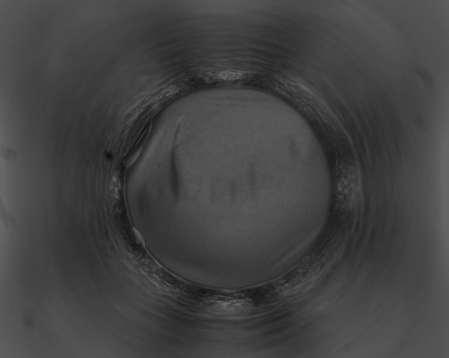 X0000090490555200708031149