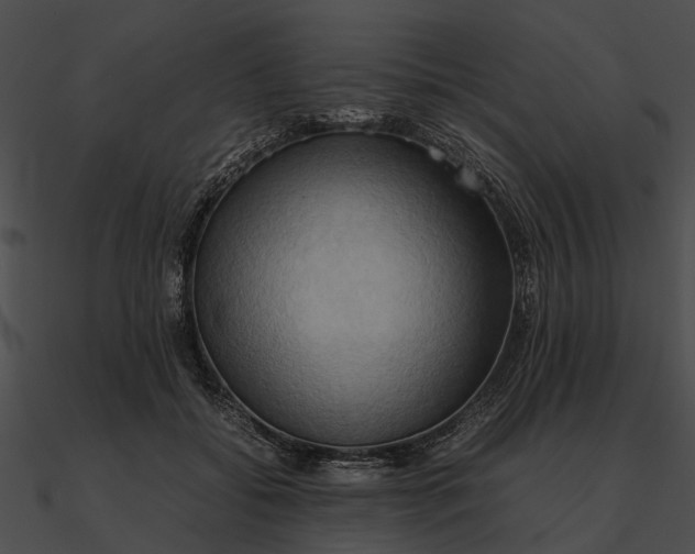 X0000090490556200708031149