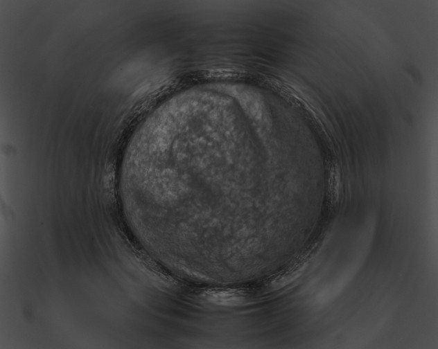 X0000090490557200708031149